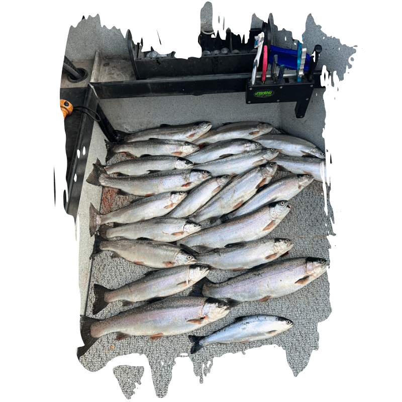 Fish Intimidators Kokanee fishing locations