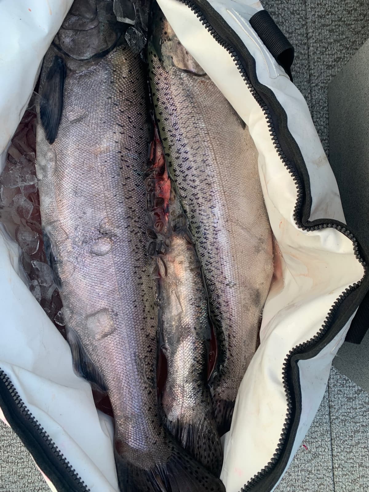 Fish Intimidators guided fishing trip photo 16