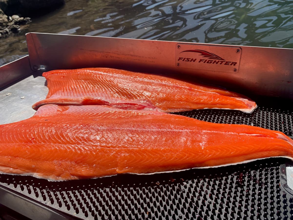 Fish Intimidators guided fishing trip photo 18